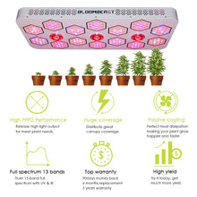 LED Grow Light for Indoor Plants Seedling Veg and Flower Dimmable Full Spectrum COB Growing Lights BloomBeast 13 Band 3 Dimmers A1280 1280W for Greenhouse and Hydroponic(Super Bright)