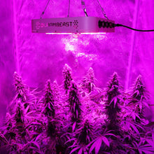 LED Grow Light Full Spectrum for Indoor Plants Veg and Flower Dimmable COB Growing Lamps BloomBeast A520 520w 13 Band with UV IR 3 Dimmers hydroponics lighting(5 Years Warranty)