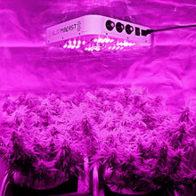 LED Grow Light Full Spectrum for Indoor Plants Veg and Flower Dimmable COB Growing Lamps BloomBeast A520 520w 13 Band with UV IR 3 Dimmers hydroponics lighting(5 Years Warranty)